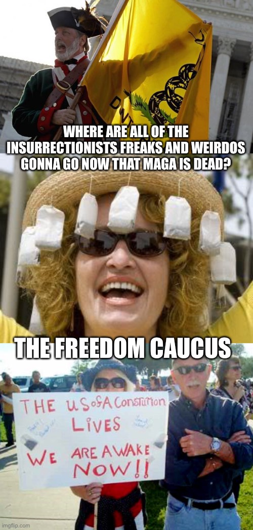 WHERE ARE ALL OF THE INSURRECTIONISTS FREAKS AND WEIRDOS GONNA GO NOW THAT MAGA IS DEAD? THE FREEDOM CAUCUS | image tagged in tea party,tea party constitution sign | made w/ Imgflip meme maker