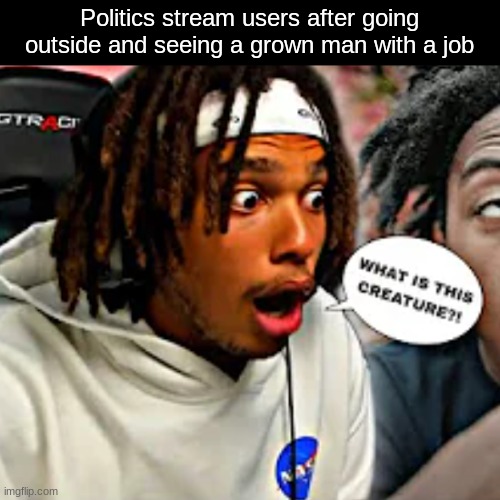 WHAT IS THIS CREATURE?! | Politics stream users after going outside and seeing a grown man with a job | image tagged in what is this creature | made w/ Imgflip meme maker