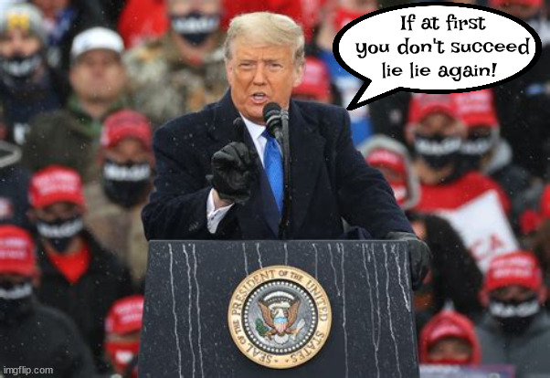 Trump's wisdom | If at first you don't succeed lie lie again! | image tagged in donald trump,2024 election,maga,the big lie,stolen electron | made w/ Imgflip meme maker
