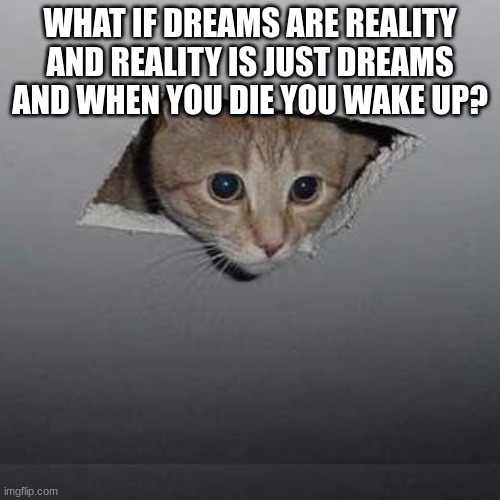 What if? | WHAT IF DREAMS ARE REALITY AND REALITY IS JUST DREAMS AND WHEN YOU DIE YOU WAKE UP? | image tagged in memes,ceiling cat | made w/ Imgflip meme maker