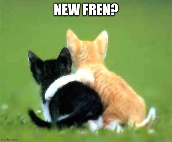 friends | NEW FREN? | image tagged in friends | made w/ Imgflip meme maker