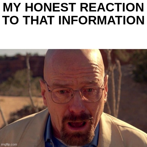 MY HONEST REACTION TO THAT INFORMATION | made w/ Imgflip meme maker