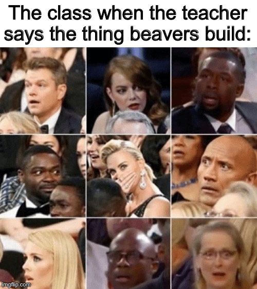 “Oh frick the teacher just cursed!” | The class when the teacher says the thing beavers build: | image tagged in school,teacher,school meme,memes,funny | made w/ Imgflip meme maker