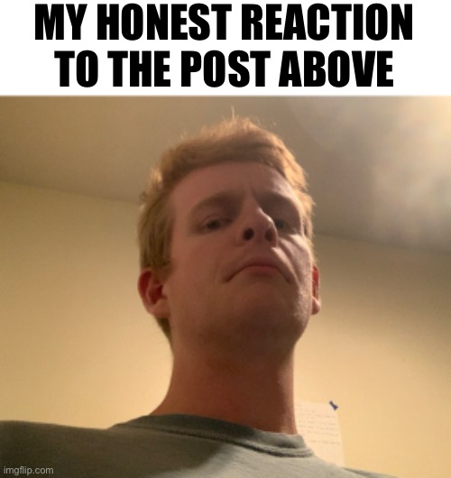 MY HONEST REACTION TO THE POST ABOVE | made w/ Imgflip meme maker