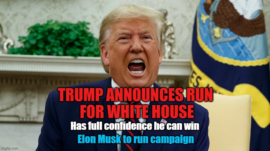 Dumb and Dumber | TRUMP ANNOUNCES RUN
 FOR WHITE HOUSE; Has full confidence he can win; Elon Musk to run campaign | image tagged in donald trump,elon musk,assholes,fascists,losers | made w/ Imgflip meme maker