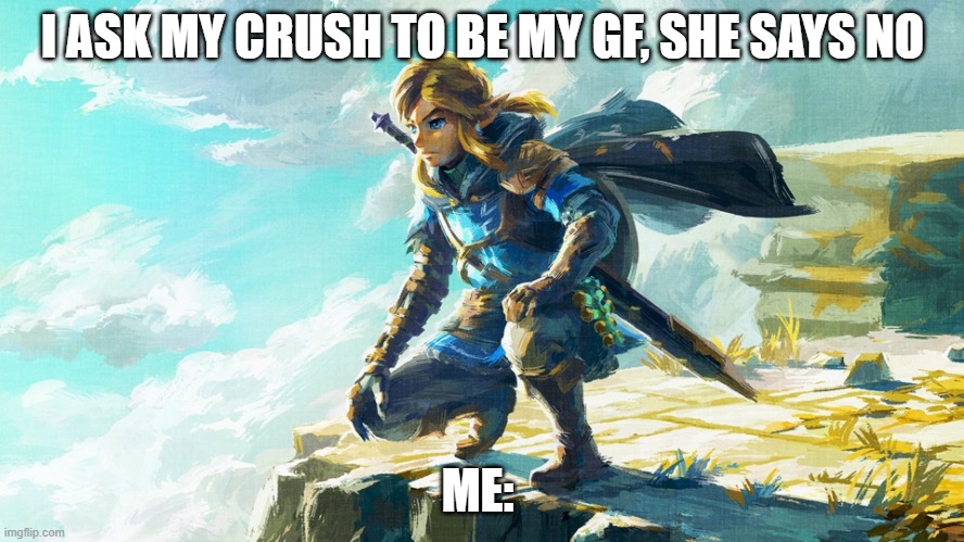 the pain of link | I ASK MY CRUSH TO BE MY GF, SHE SAYS NO; ME: | image tagged in the pain of link | made w/ Imgflip meme maker