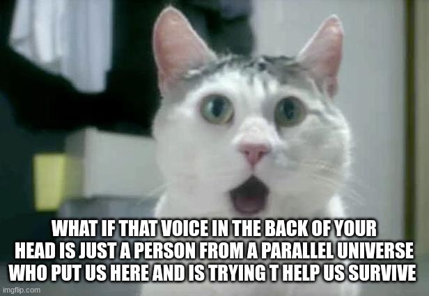 OMG Cat Meme | WHAT IF THAT VOICE IN THE BACK OF YOUR HEAD IS JUST A PERSON FROM A PARALLEL UNIVERSE WHO PUT US HERE AND IS TRYING T HELP US SURVIVE | image tagged in memes,omg cat | made w/ Imgflip meme maker