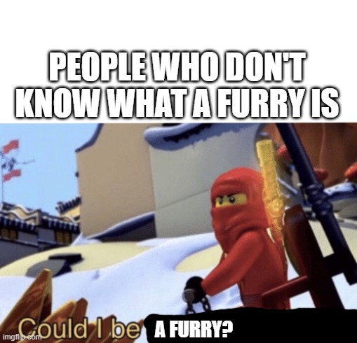 i have no ****ing idea its too confusing | PEOPLE WHO DON'T KNOW WHAT A FURRY IS; A FURRY? | image tagged in could i be the green ninja | made w/ Imgflip meme maker