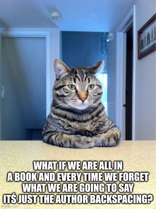 Take A Seat Cat | WHAT IF WE ARE ALL IN A BOOK AND EVERY TIME WE FORGET WHAT WE ARE GOING TO SAY ITŚ JUST THE AUTHOR BACKSPACING? | image tagged in memes,take a seat cat | made w/ Imgflip meme maker