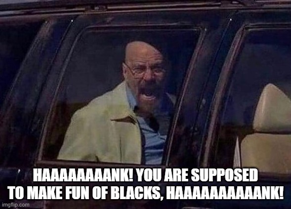 Walter White Screaming At Hank | HAAAAAAAANK! YOU ARE SUPPOSED TO MAKE FUN OF BLACKS, HAAAAAAAAAANK! | image tagged in walter white screaming at hank | made w/ Imgflip meme maker