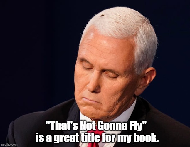 I believe I can FLY! | "That's Not Gonna Fly" 
is a great title for my book. | image tagged in mike pence,fly,loser,book,author | made w/ Imgflip meme maker