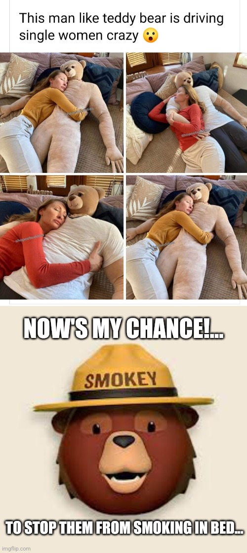 Go, Smokey, go! | NOW'S MY CHANCE!... TO STOP THEM FROM SMOKING IN BED... | image tagged in man,size,teddy bear,single ladies,smokey the bear,getting lucky | made w/ Imgflip meme maker