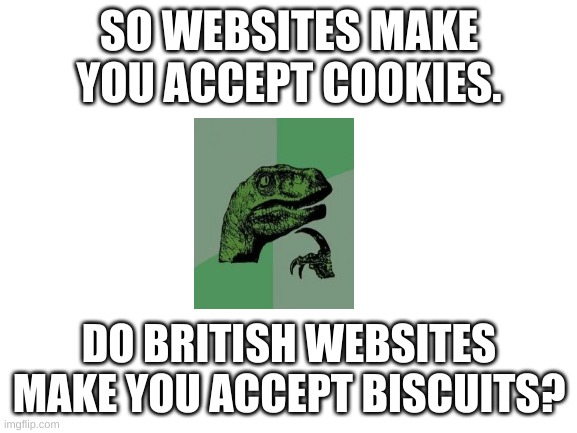 Cookies. | SO WEBSITES MAKE YOU ACCEPT COOKIES. DO BRITISH WEBSITES MAKE YOU ACCEPT BISCUITS? | image tagged in blank white template | made w/ Imgflip meme maker