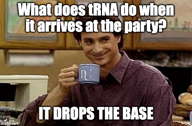 Dad Joke | What does tRNA do when it arrives at the party? IT DROPS THE BASE | image tagged in dad joke | made w/ Imgflip meme maker