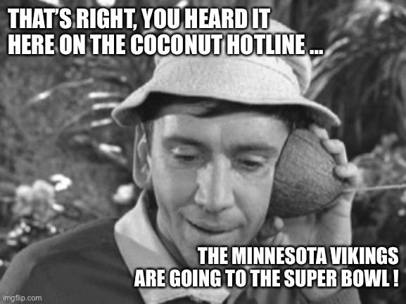 Coconut Hotline | THAT’S RIGHT, YOU HEARD IT HERE ON THE COCONUT HOTLINE …; THE MINNESOTA VIKINGS ARE GOING TO THE SUPER BOWL ! | image tagged in minnesota vikings | made w/ Imgflip meme maker