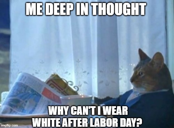really why not!! | ME DEEP IN THOUGHT; WHY CAN'T I WEAR WHITE AFTER LABOR DAY? | image tagged in memes,i should buy a boat cat,cat,white,labor day | made w/ Imgflip meme maker
