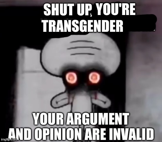 Squidward your argument is invalid | YOU'RE TRANSGENDER | image tagged in squidward your argument is invalid | made w/ Imgflip meme maker