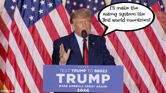Third world country.. | I'll make the voting system like a 3rd world countries! | image tagged in trump 2024,maga,criminal,liar,loser | made w/ Imgflip meme maker
