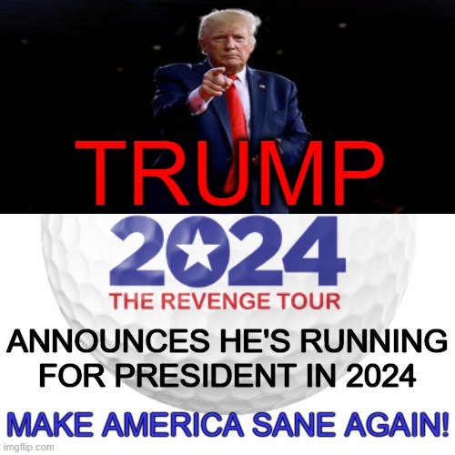 Build Back Brains ~~ The PATRIOT POTUS Running in 2024! |  TRUMP; ANNOUNCES HE'S RUNNING FOR PRESIDENT IN 2024; MAKE AMERICA SANE AGAIN! | image tagged in politics,donald trump,presidential race,maga,patriot,donald trump approves | made w/ Imgflip meme maker