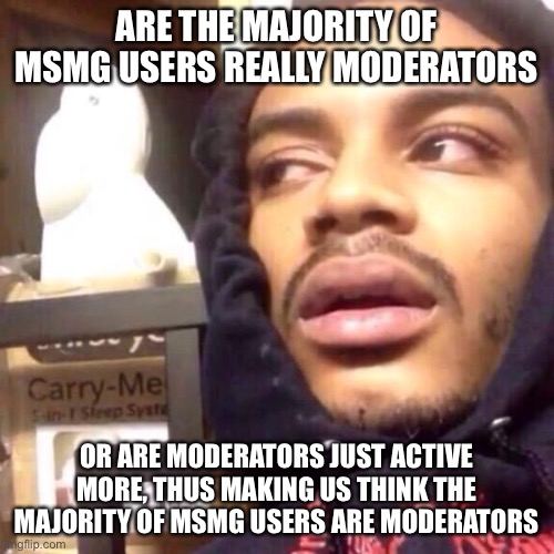 The real question | ARE THE MAJORITY OF MSMG USERS REALLY MODERATORS; OR ARE MODERATORS JUST ACTIVE MORE, THUS MAKING US THINK THE MAJORITY OF MSMG USERS ARE MODERATORS | image tagged in coffee enema high thoughts | made w/ Imgflip meme maker