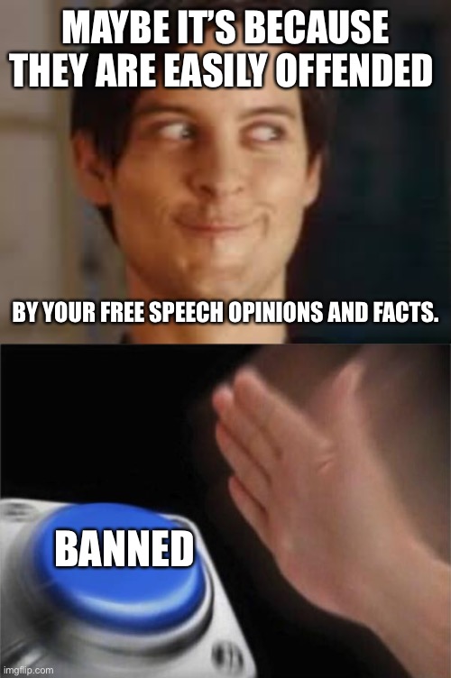 MAYBE IT’S BECAUSE THEY ARE EASILY OFFENDED BY YOUR FREE SPEECH OPINIONS AND FACTS. BANNED | image tagged in or maybe i never was those other idealogies,memes,blank nut button | made w/ Imgflip meme maker