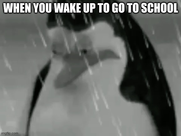 Sadge | WHEN YOU WAKE UP TO GO TO SCHOOL | image tagged in sadge | made w/ Imgflip meme maker
