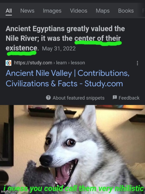 i guess you could call them very nihilistic | image tagged in pun dog - husky | made w/ Imgflip meme maker