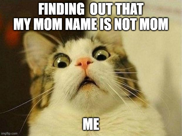 Scared Cat Meme | FINDING  OUT THAT MY MOM NAME IS NOT MOM; ME | image tagged in memes,scared cat | made w/ Imgflip meme maker