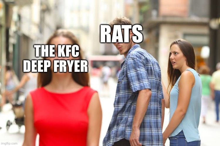 h | RATS; THE KFC DEEP FRYER | image tagged in memes,distracted boyfriend | made w/ Imgflip meme maker