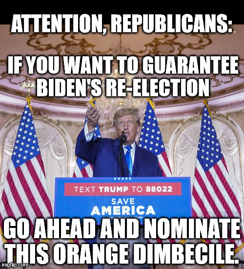 Try it and see... | ATTENTION, REPUBLICANS:; IF YOU WANT TO GUARANTEE
BIDEN'S RE-ELECTION; GO AHEAD AND NOMINATE
THIS ORANGE DIMBECILE. | image tagged in orange jesus saves | made w/ Imgflip meme maker