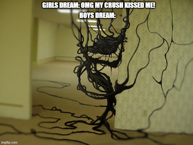 GIRLS DREAM: OMG MY CRUSH KISSED ME! BOYS DREAM: | image tagged in backrooms,backrooms monster,girls dream,boys dream,horror,4chan | made w/ Imgflip meme maker