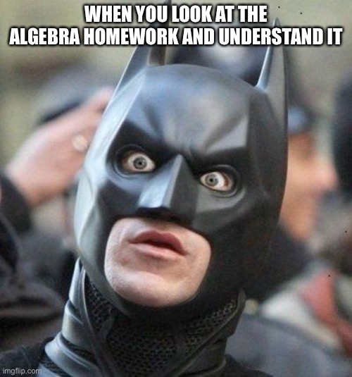 Shocked Batman | WHEN YOU LOOK AT THE ALGEBRA HOMEWORK AND UNDERSTAND IT | image tagged in shocked batman | made w/ Imgflip meme maker