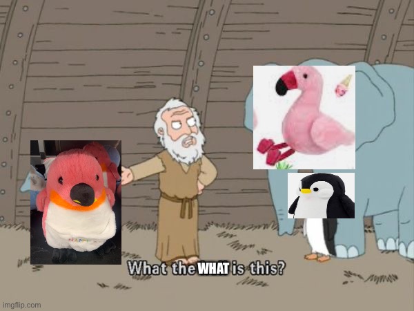 A Flaminguin :D | WHAT | image tagged in what the hell is this,flamingo,penguin,noah's ark,but why,how | made w/ Imgflip meme maker