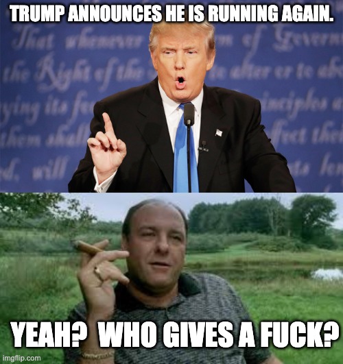 TRUMP ANNOUNCES HE IS RUNNING AGAIN. YEAH?  WHO GIVES A FUCK? | image tagged in donald trump wrong | made w/ Imgflip meme maker