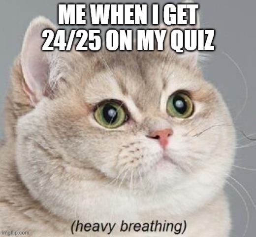 Heavy Breathing Cat | ME WHEN I GET 24/25 ON MY QUIZ | image tagged in memes,heavy breathing cat | made w/ Imgflip meme maker