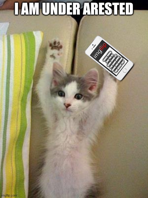 Hands up kitten | I AM UNDER ARESTED "NEVER GONNA GIVE YOU UP NEVER GONNA LET YOU DOWN NEVER GONNA RUN AROUND AND DESERT YOU" | image tagged in hands up kitten | made w/ Imgflip meme maker