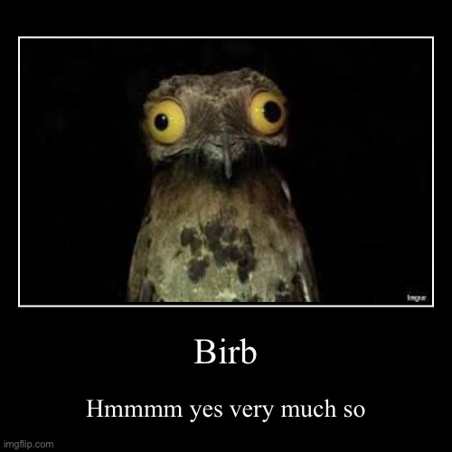 BIRB | image tagged in funny,demotivationals | made w/ Imgflip demotivational maker