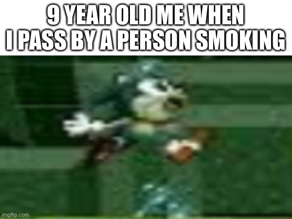  9 YEAR OLD ME WHEN I PASS BY A PERSON SMOKING | image tagged in sonic the hedgehog | made w/ Imgflip meme maker