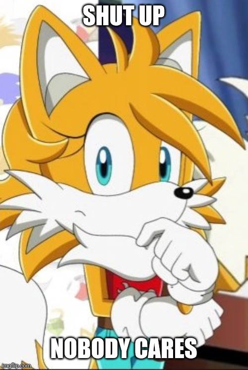 SHUT UP NOBODY CARES | image tagged in tailsko | made w/ Imgflip meme maker