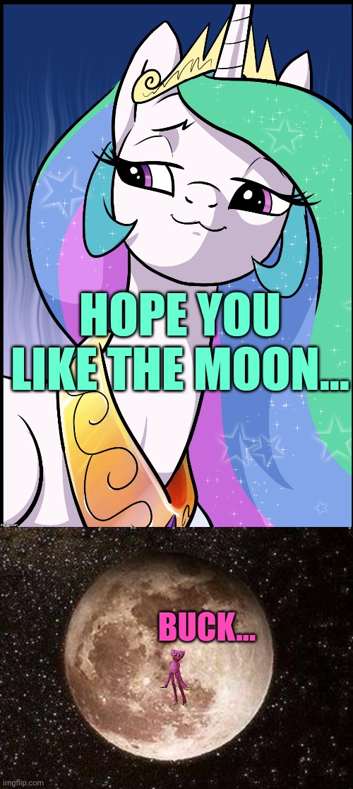 HOPE YOU LIKE THE MOON... BUCK... | image tagged in princess celestia,moon and stars | made w/ Imgflip meme maker