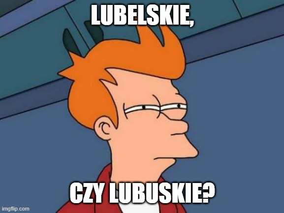 Futurama Fry Meme | LUBELSKIE, CZY LUBUSKIE? | image tagged in memes,futurama fry | made w/ Imgflip meme maker