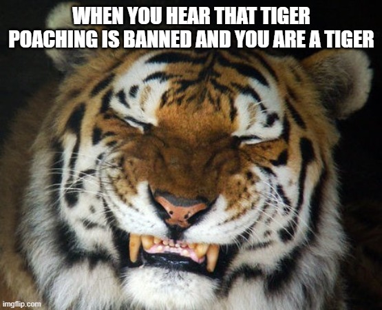 HAPPY TIGER | WHEN YOU HEAR THAT TIGER POACHING IS BANNED AND YOU ARE A TIGER | image tagged in happy tiger | made w/ Imgflip meme maker