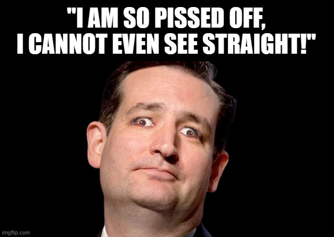 oh shut up, raffy! | "I AM SO PISSED OFF, I CANNOT EVEN SEE STRAIGHT!" | image tagged in ted cruz,bloated woodchuck,pissed off,at himself | made w/ Imgflip meme maker