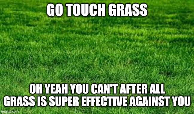 touching grass | GO TOUCH GRASS OH YEAH YOU CAN'T AFTER ALL GRASS IS SUPER EFFECTIVE AGAINST YOU | image tagged in touching grass | made w/ Imgflip meme maker