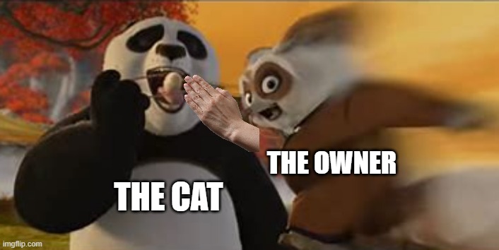 Kung Fu Panda Dumpling Meme | THE CAT THE OWNER | image tagged in kung fu panda dumpling meme | made w/ Imgflip meme maker