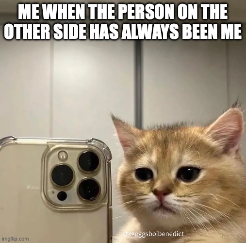 ME WHEN THE PERSON ON THE OTHER SIDE HAS ALWAYS BEEN ME | image tagged in weyesblood | made w/ Imgflip meme maker