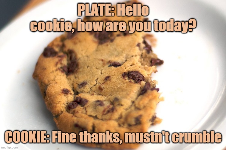 cookie |  PLATE: Hello cookie, how are you today? COOKIE: Fine thanks, mustn't crumble | image tagged in cookie | made w/ Imgflip meme maker