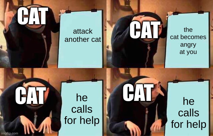 angry cat | CAT; attack another cat; the cat becomes angry at you; CAT; CAT; CAT; he calls for help; he calls for help | image tagged in memes,gru's plan | made w/ Imgflip meme maker