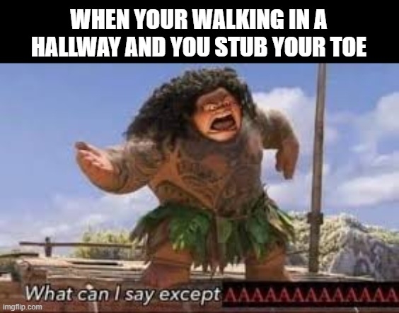 It has happened to all of us... | WHEN YOUR WALKING IN A HALLWAY AND YOU STUB YOUR TOE | image tagged in what can i say except aaaaaaaaaaa,ow | made w/ Imgflip meme maker