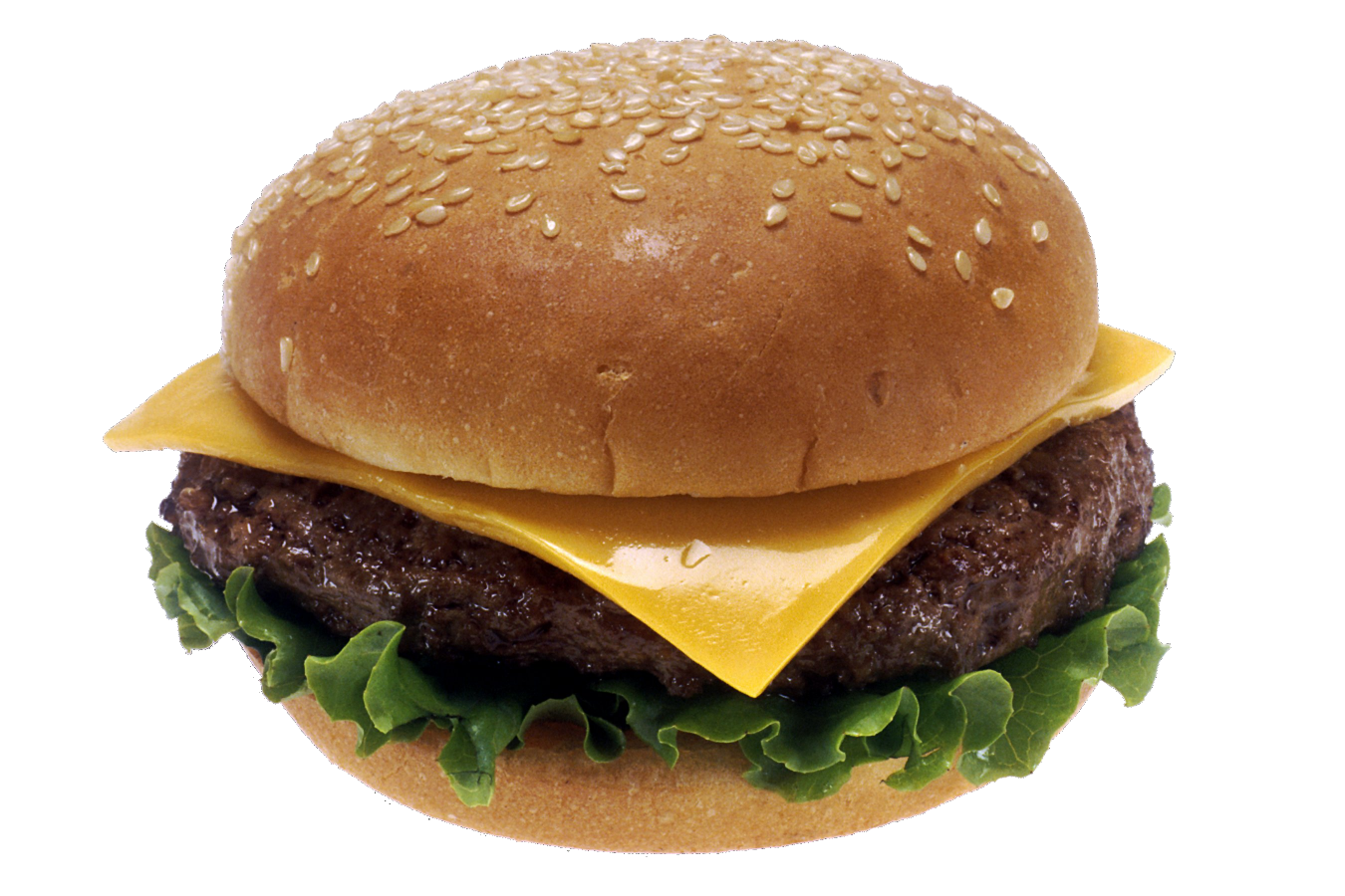 High Quality cheese burger Blank Meme Template